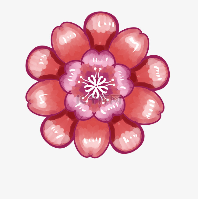 樱花花朵装饰插画