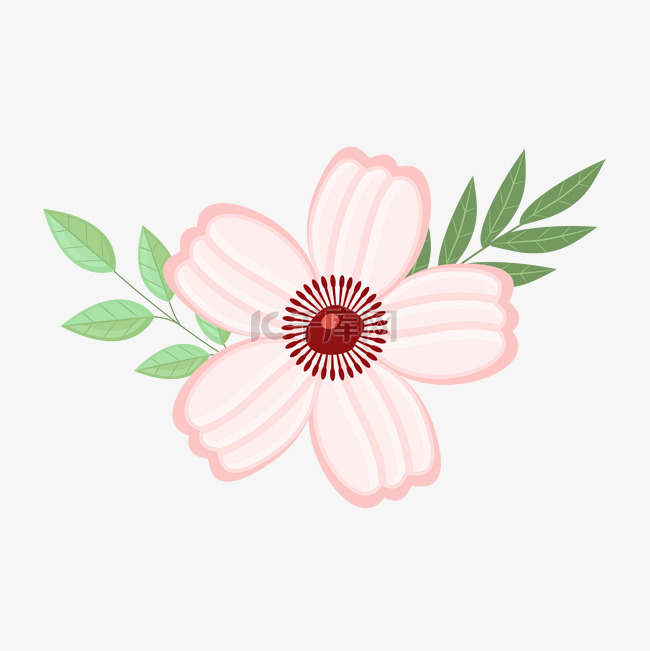 淡粉色花朵