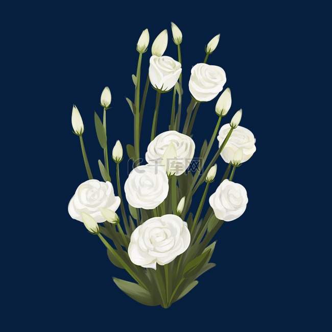 白色花朵花卉