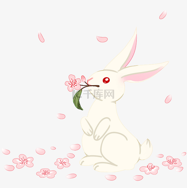 花瓣白色兔子