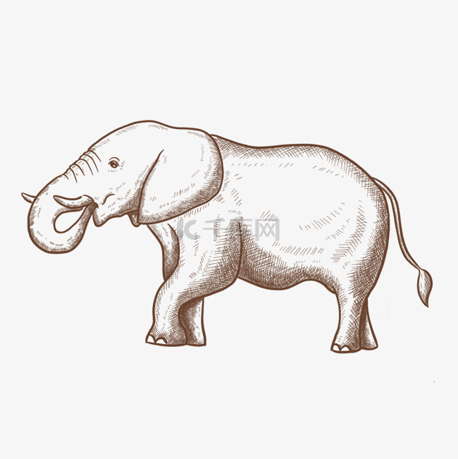 复古线描动物大象