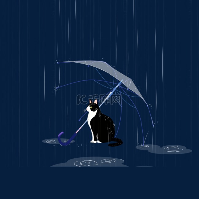 雨天冷淡风猫咪躲雨