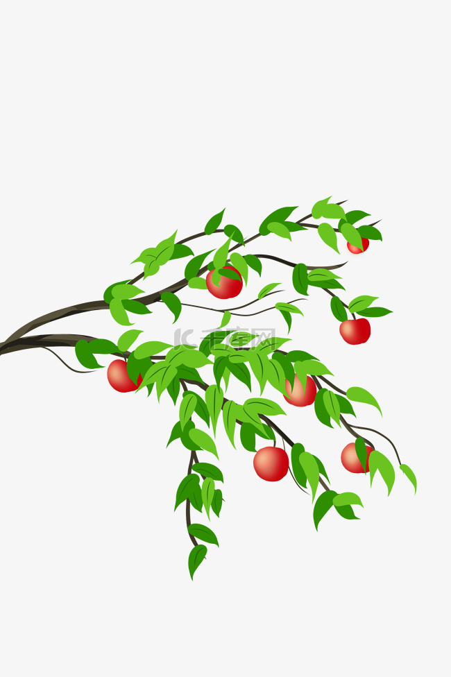 红色苹果树枝