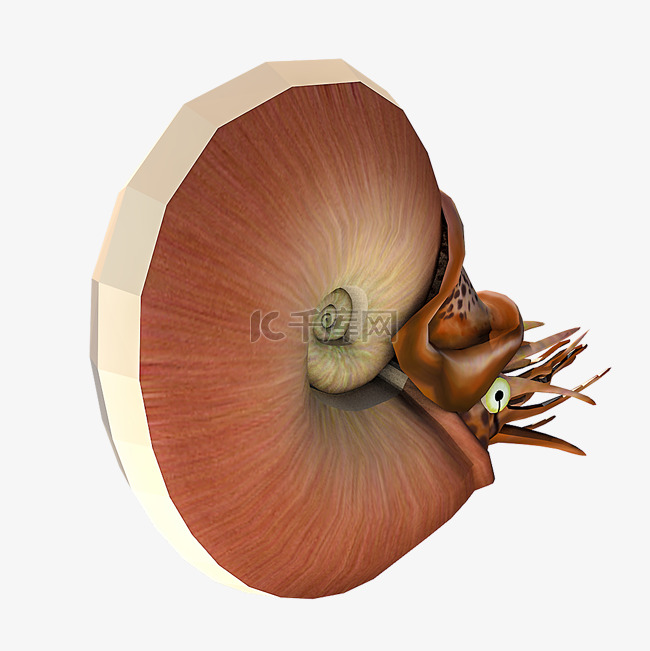 3D昆虫蜗牛