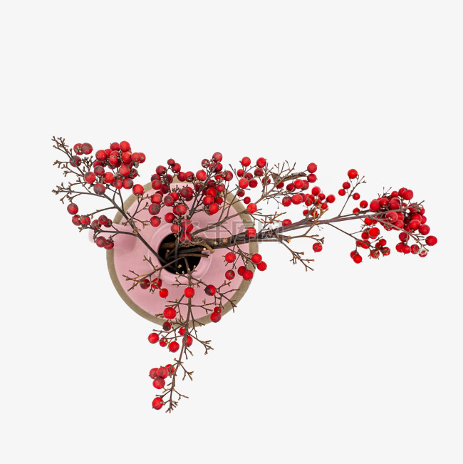 干花圣诞冬青果红色果子装饰物品