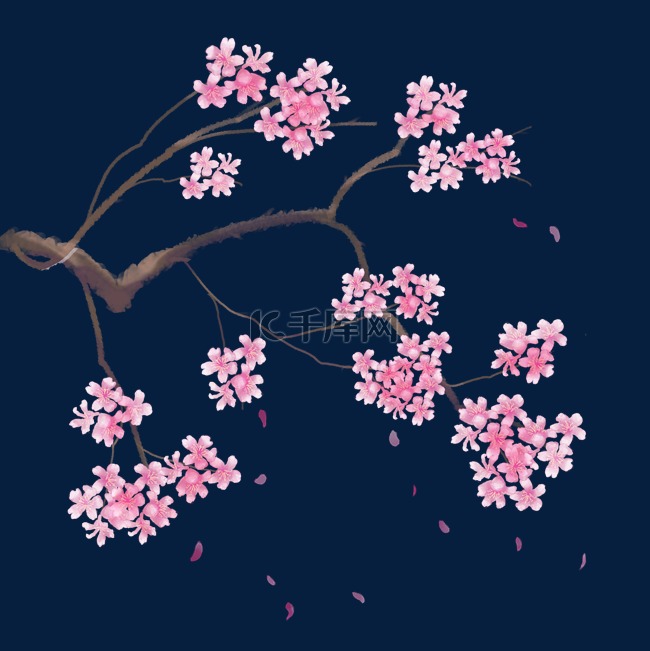 粉红色樱花樱花树