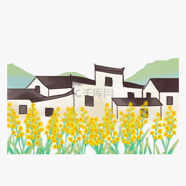 黄色油菜花和房子