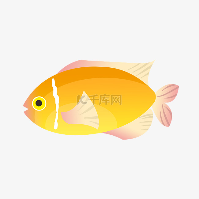 海洋生物小鱼插画