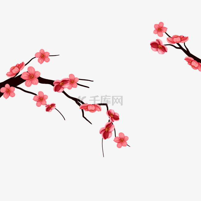 粉红色花朵树枝