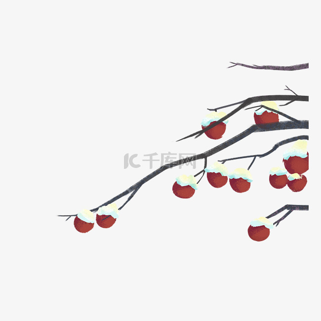 冬季树木红果子积雪