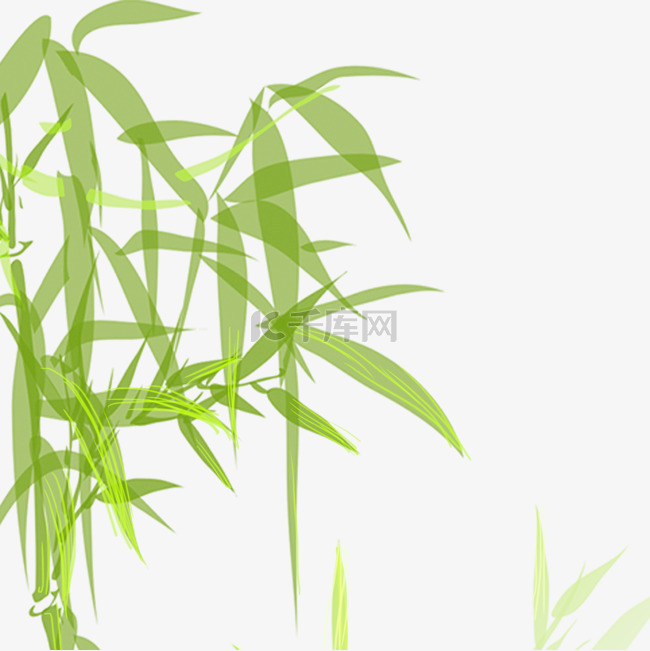 竹子绿色清新植物