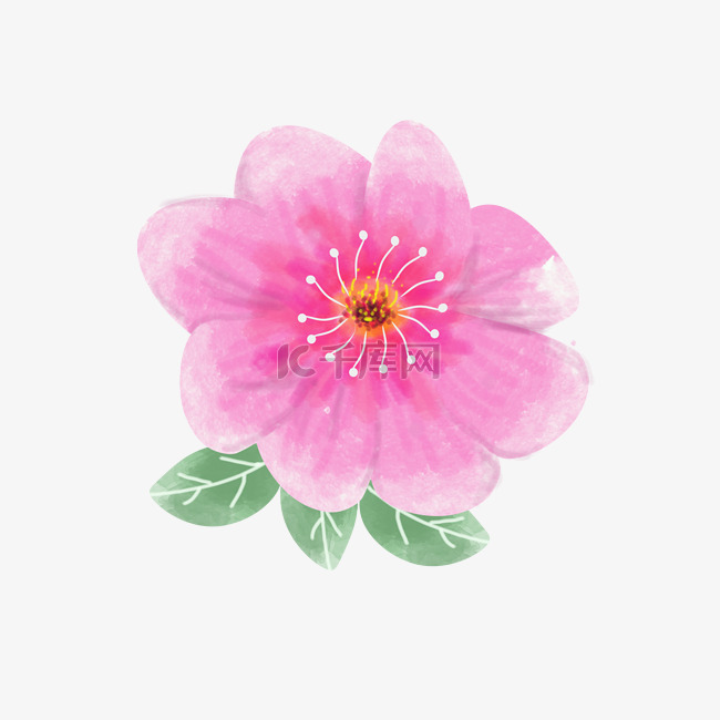 一朵桃花花卉插画
