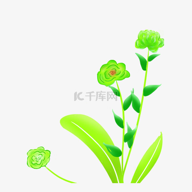 绿色花卉植物