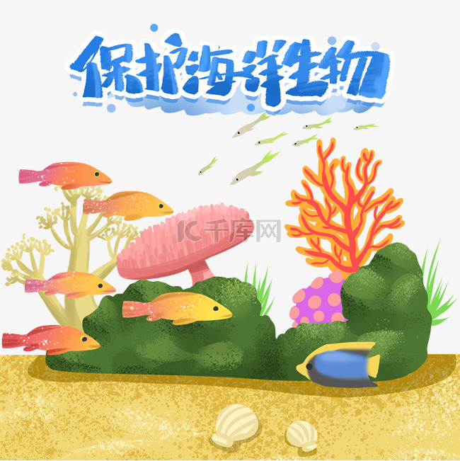 保护海洋生物