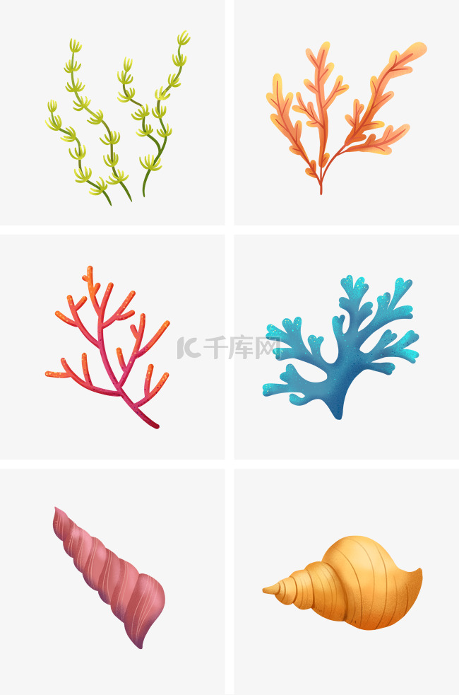 海底海草和海螺组图
