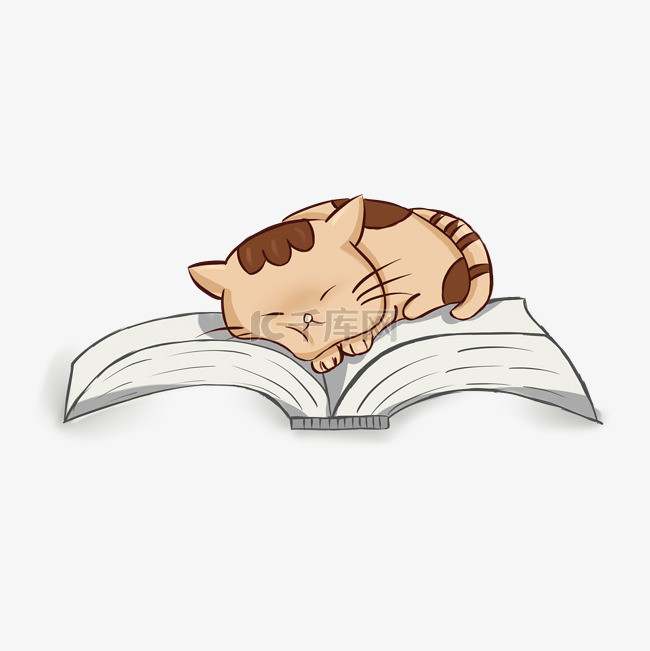 书本上睡觉的猫咪