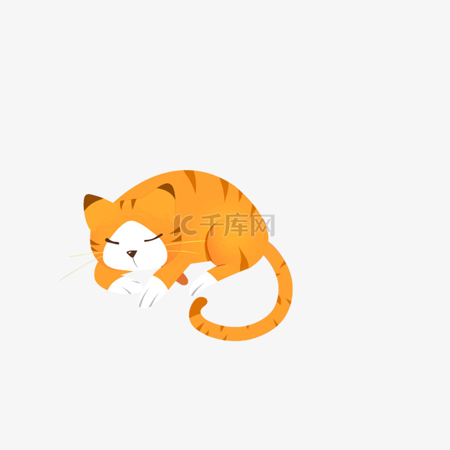 橙色的猫咪免抠图