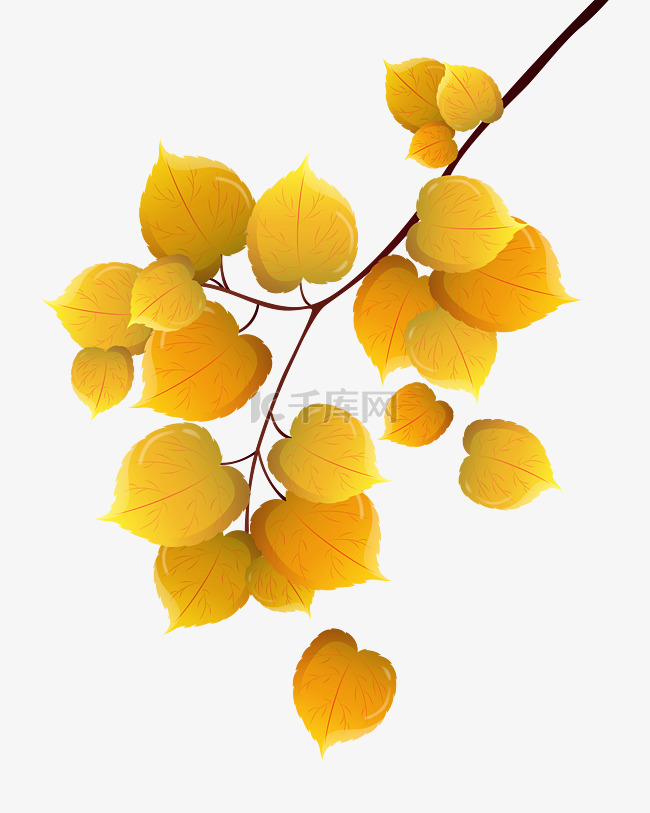 黄色的树叶