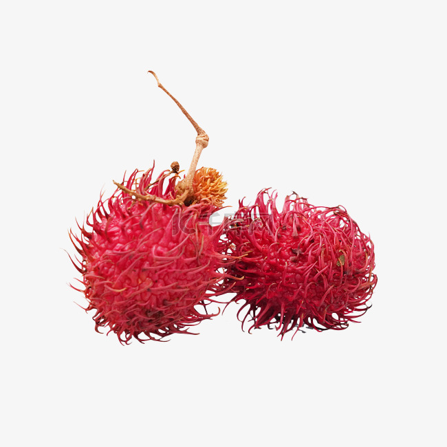 红毛丹热带水果
