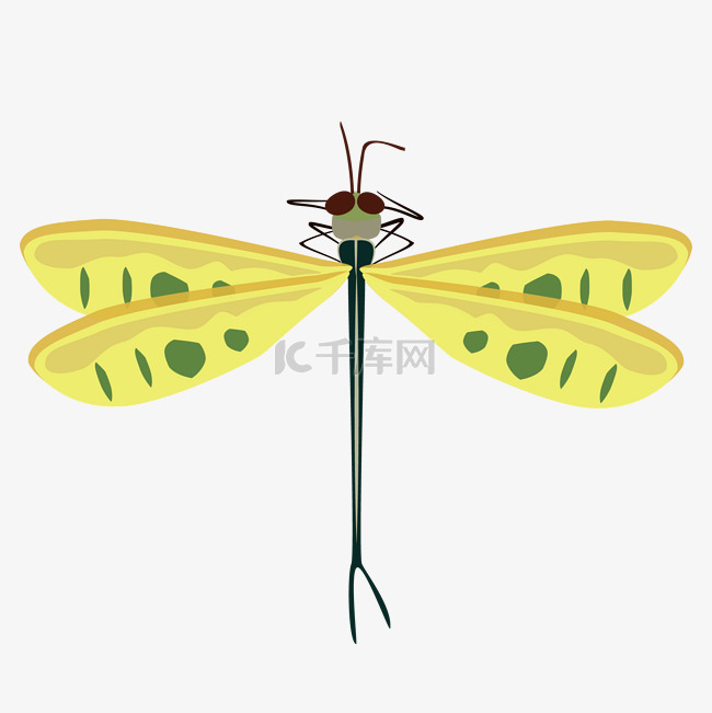 黄色翅膀蜻蜓
