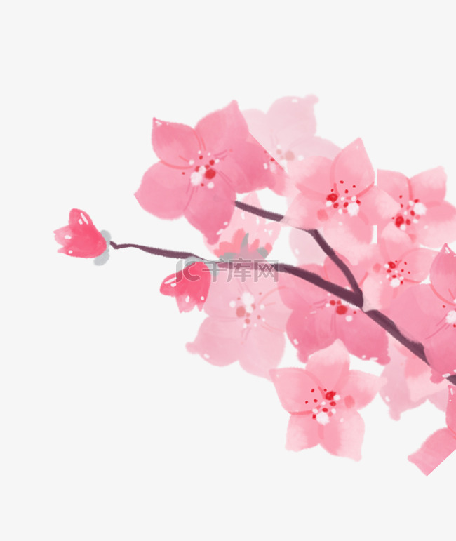 春季桃花树枝