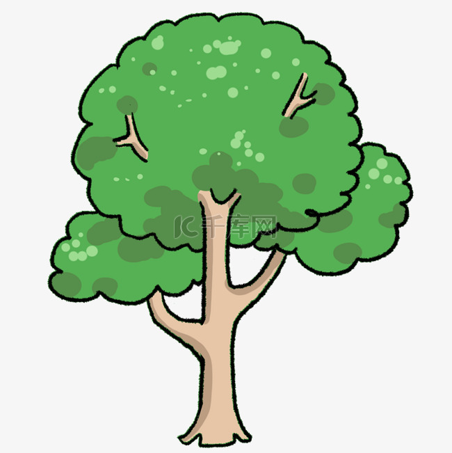 绿色茂盛树木