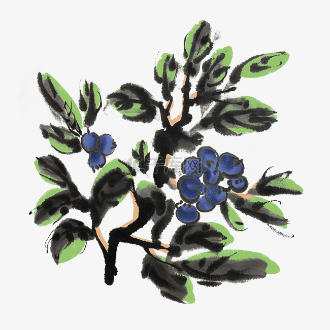 水墨中国风蓝莓树