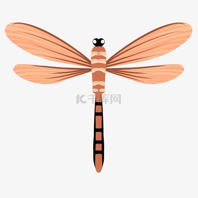 一只漂亮蜻蜓插画