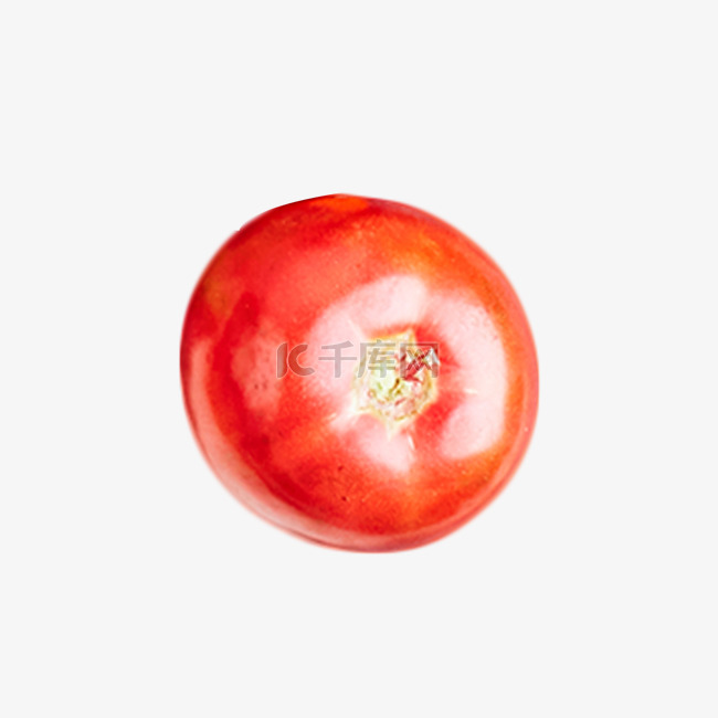 西红柿柿子