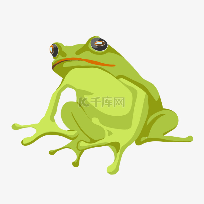精美绿色青蛙