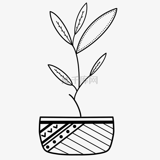 黑白植物装饰画