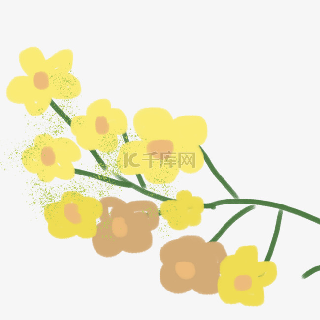 黄色的鲜花免抠图