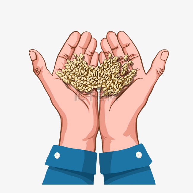 农作物手捧粮食麦子