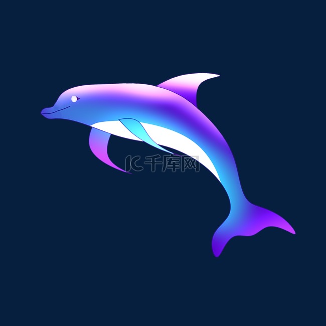 活泼跳跃生物海豚