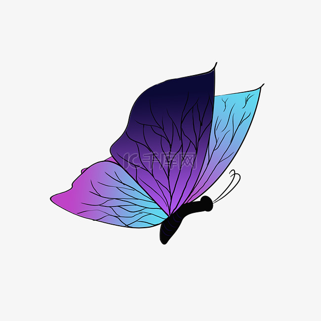唯美紫色蝴蝶插图