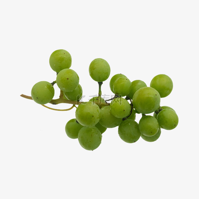 绿色美味葡萄
