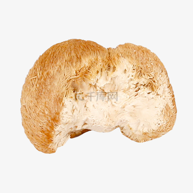 食材猴头菇