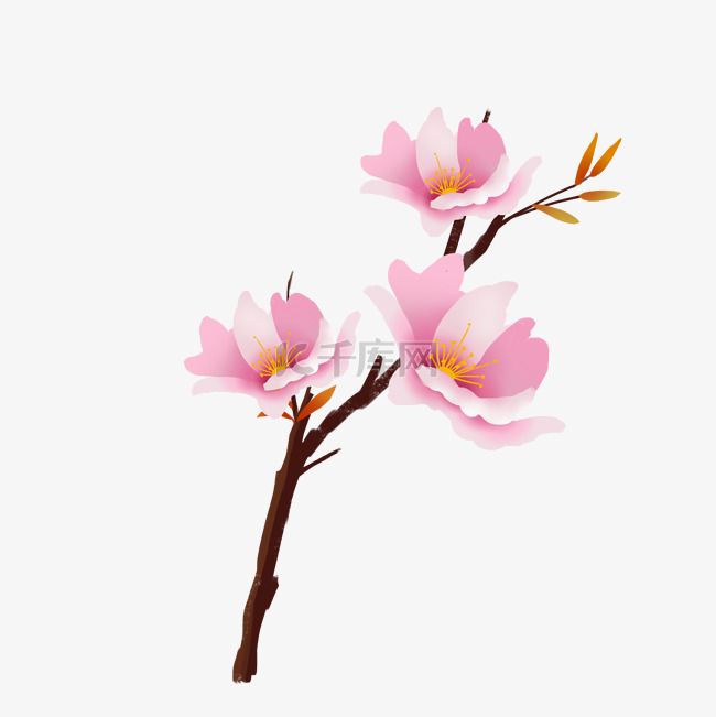 樱花树枝卡通插画