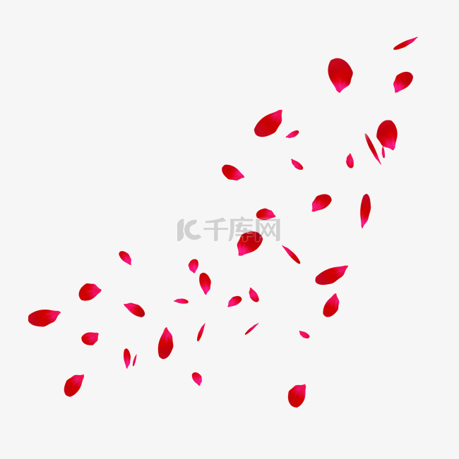 红色浪漫漂浮玫瑰花花瓣