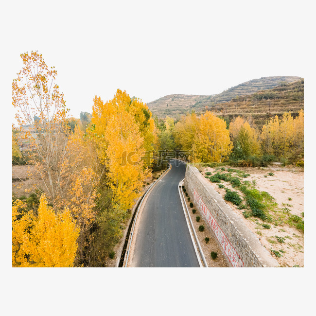 秋季公路和黄色树林