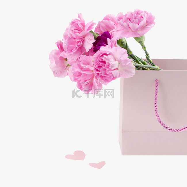母亲节康乃馨粉红色花朵