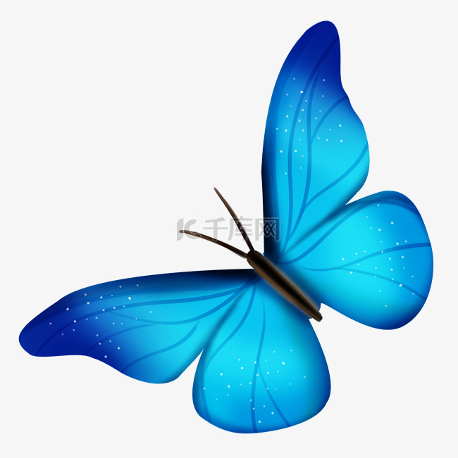 蓝色的美丽蝴蝶插画