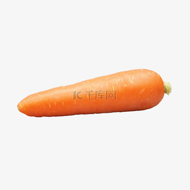 蔬菜黄萝卜