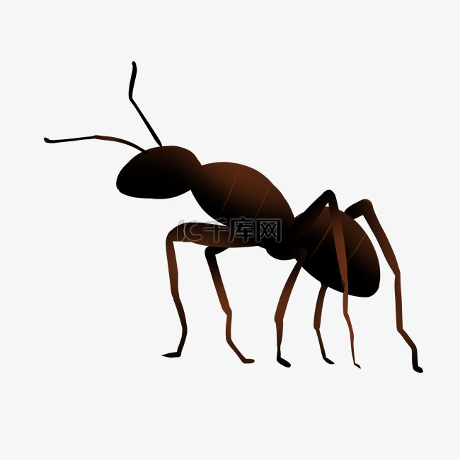 爬行的小蚂蚁
