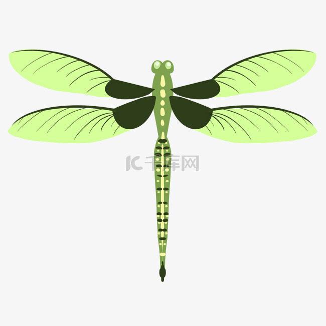 唯美绿色蜻蜓插画