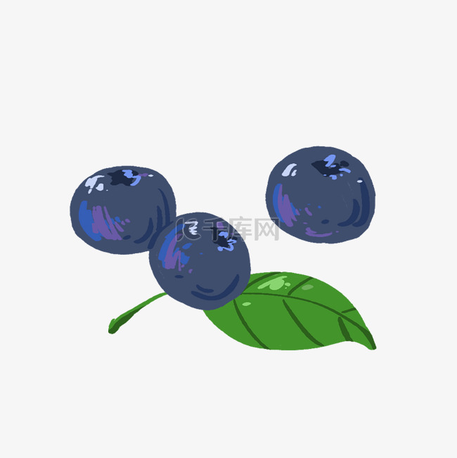 夏季清新水果蓝莓