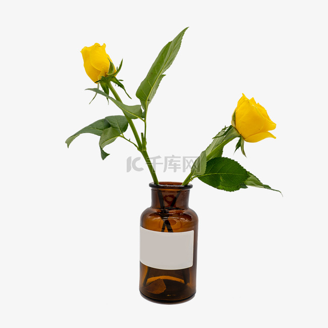 黄色玫瑰和花瓶