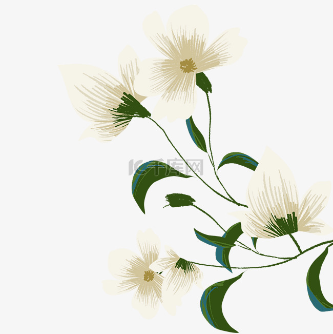 白色花朵刺绣