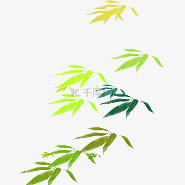 绿色植物叶子元素