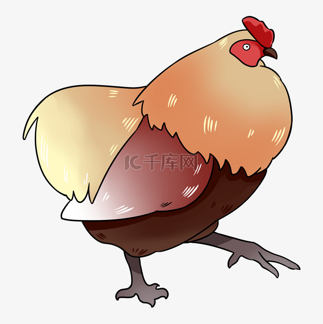 肥硕的大母鸡插画